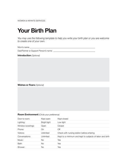 47 Printable Birth Plan Templates [birth Plan Checklist] ᐅ Templatelab