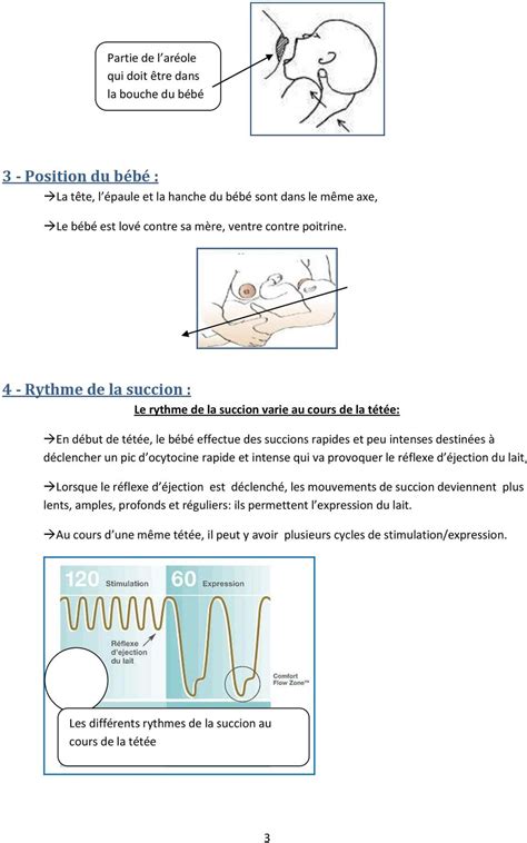 Technique De Succion Positions D Allaitement Pdf Free Download