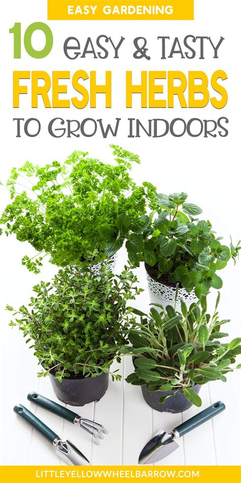 Growing Your Own Indoor Herb Garden Is Easier Than You Think Even If