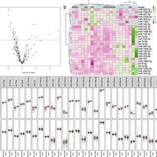 Panel Of Differential Expression Of MiRNAs Between Female Patients With