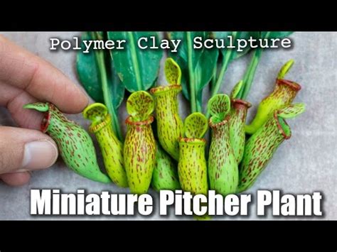 How To Sculpt Miniature Pitcher Plant Nepenthes Polymer Clay