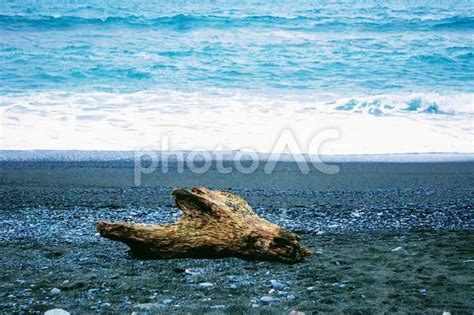 砂浜に漂着した流木 No 4657576｜写真素材なら「写真ac」無料（フリー）ダウンロードok