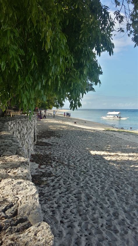 Free Images Beach Sea Coast Tree Sand Ocean Sun Shore Walkway