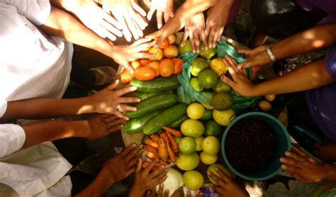 Producción de alimentos es el mayor desafío para sustentabilidad