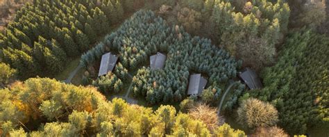 Our Unique Partnership With Forest Holidays Forestry England