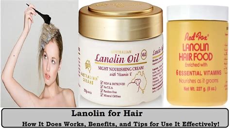 Lanolin For Hair How It Does Works Benefits And Tips For Use It Effectively True Qube