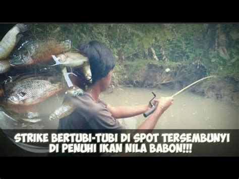 Mancing Ikan Nila Di Spot Tersembunyi Hasilnya Sangat Memuaskan