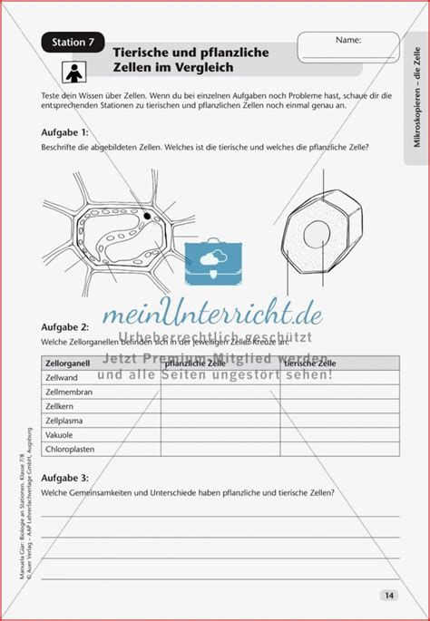 Arbeitsbl Tter Biologie Klasse Zellen Empfehlungen F R