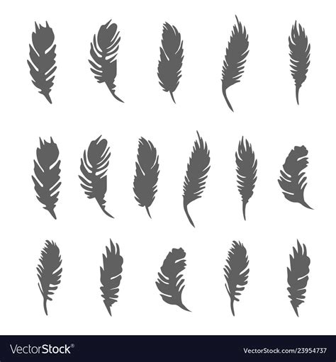 Abstract Feather Drawings