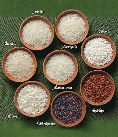 The Nibble Rice Types Of