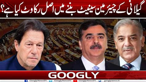 Syed Yousaf Raza Gillani Kai Chairman Senate Ban Nay Mein Asal Rukawat