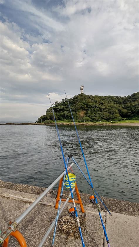 拙者の投げ釣りブログ 関東エリア By Nz号 2020年7月