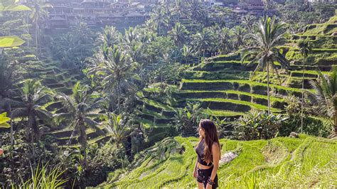 Qu Ver Y Qu Hacer En La Zona Centro De Bali Ingeniera De Viajes