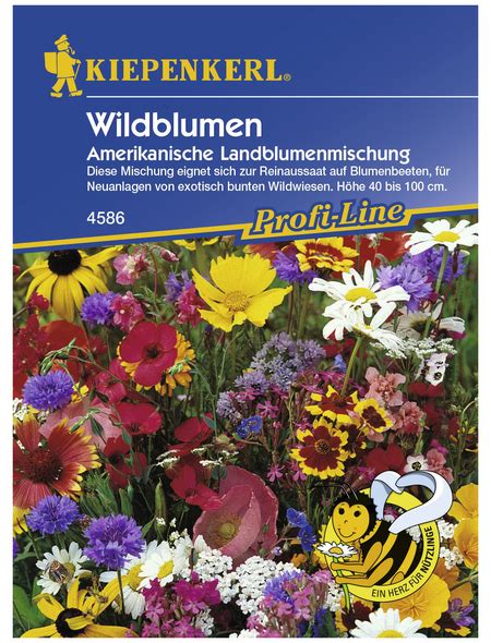 KIEPENKERL Wildblumen Mischung Samen Blüte mehrfarbig hagebau at