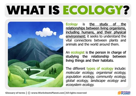 What Is Ecology Definition Of Ecology