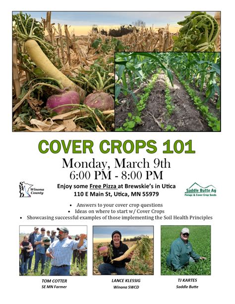 Cover Crops 101 - MN Soil Health Coalition