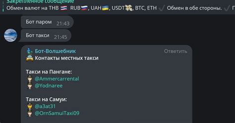 FRIENDLY BOT — бот по поиску и предоставления услуги информации в ...