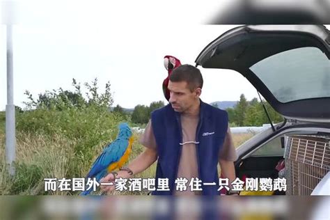 男子捡到无毛生物，3个月之后开口叫爸爸生物男子爸爸