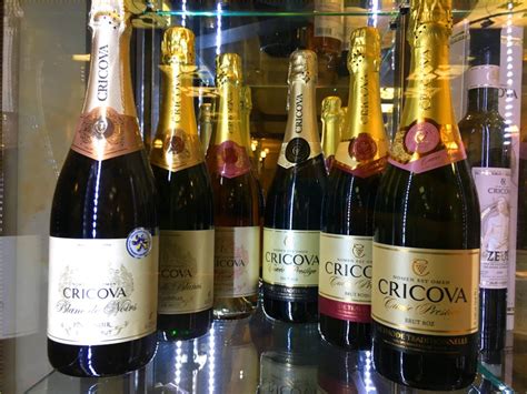 Cricova | Moldawien | Weinkeller - Berliner Weinpilot, Wein, Reisen
