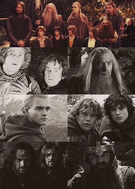 The Nine Companions The Hobbit Lord Of The Rings Middle Earth