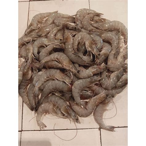 Jual Udang Vaname Ukuran Besar Udang Fresh 500g Shopee Indonesia