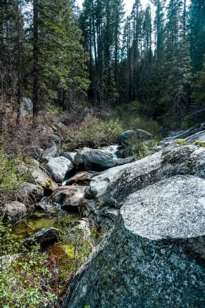 160 Redwood Forest Waterfall Stock Photos Pictures And Royalty Free