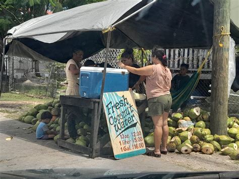 Belice Recorrido por lo más destacado de la ciudad con visita a la