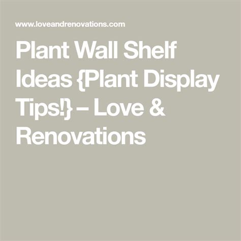 Plant Wall Shelf Ideas Plant Display Tips Artofit