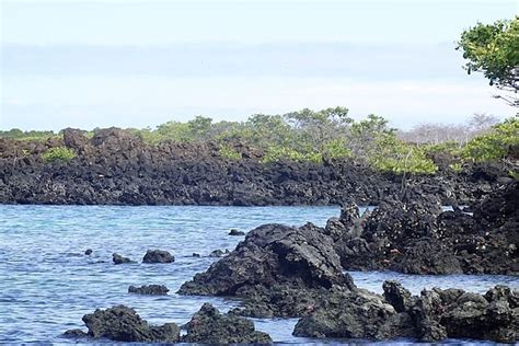 Isla Isabela Get Travel Galapagos Agency Tours Galapagos Islands