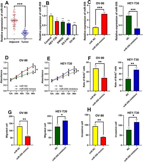 Mir Restrained The Malignant Phenotypes Of Oc Cells A Qrt Pcr