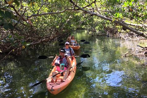 Point Hacks Activity Mangroves And Manatees Guided