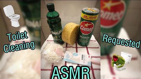 Requested Oddly Satisfying Toilet Cleaning ASMR Pine Pinalen Comet