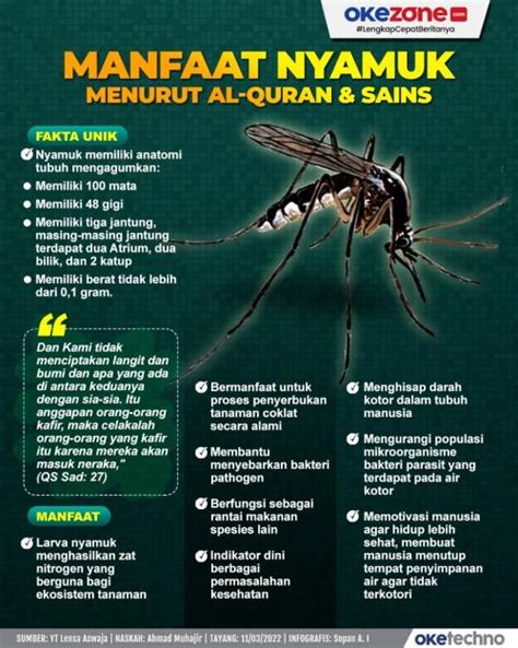 Khasiat Luar Biasa Bawang Putih Diungkap Alquran Dan Sains Benarkah