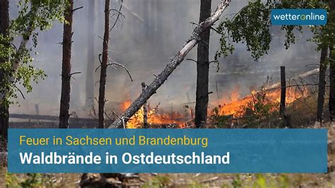 Vermehrt Waldbr Nde Schwierige L Scharbeiten In Brandenburg Youtube