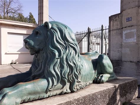 Connaissez Vous Lhistoire Et Lorigine Des Lions à Lentrée Du Stade