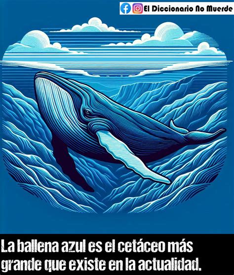 Significado De Actualidad