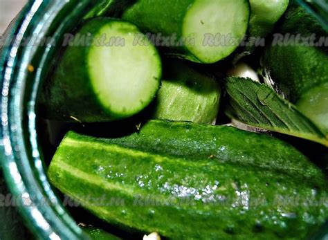 Холодный способ засолки огурцов | Рецепт | Новые рецепты, Трава ...
