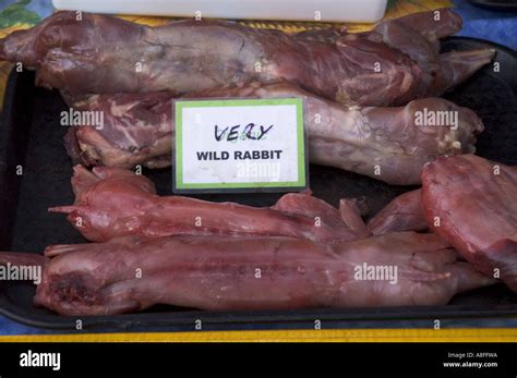 Very Wild Rabbit Meat For Sale Stock Photo Alamy