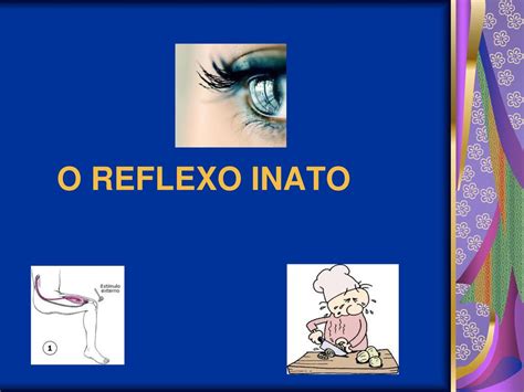 O REFLEXO INATO Ppt Carregar