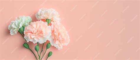 Premium Photo Carnation Bouquet On Pastel Pink Background With Copy