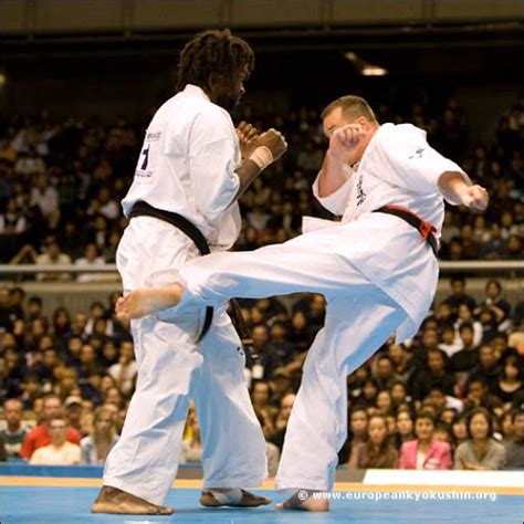 Techniques Et Definitions Karate Les Coups De Pied Dévastateurs Du