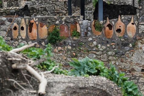 New Pompeii Excavations A Revelation Lifestyle Ansait