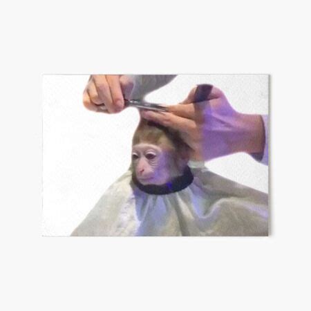 "Monkey Getting A Haircut - Monkey Monke Haircut" Art Board Print by ...