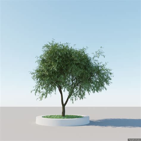 Free 3d tree models for blender - retii