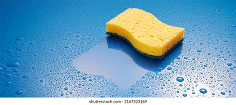 Sponge In Water Royalty-Free Images, Stock Photos & Pictures | Shutterstock