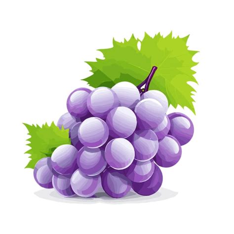 Vector De Uvas En Un Fondo Blanco Vector Premium