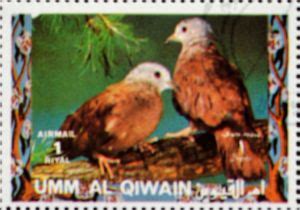 Stamp Ruddy Ground Dove Columbina Talpacoti Umm Al Qiwain Birds