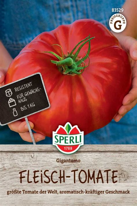 Gigantomo F1 Tomato Seeds Beef Tomatoes Seeds Tuinzaden Eu