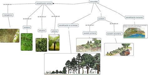 Ecología para todos mapa mental de características de comunidad y