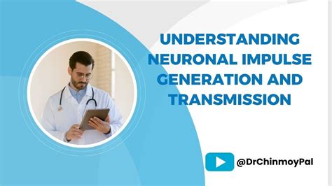 Understanding Neuronal Impulse Generation And Transmission A